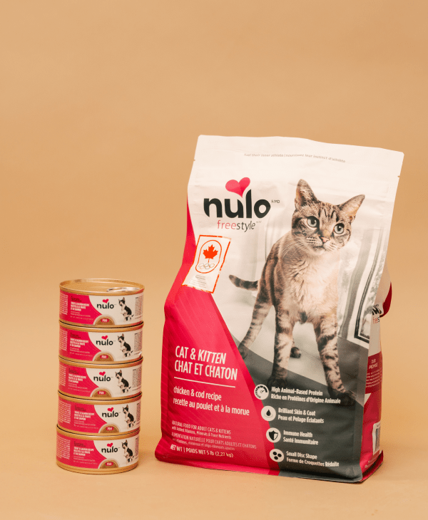 Canned (Wet) Food for Cats