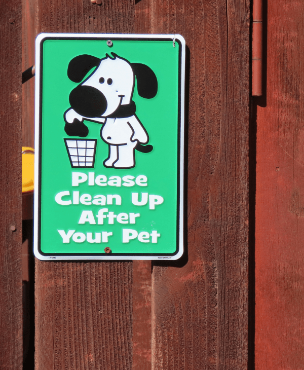 Dog Care & Waste