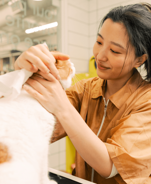 Cat Grooming Products