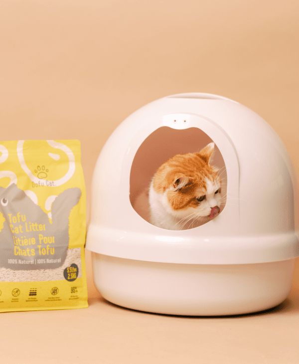 Cat Litter & Accessories