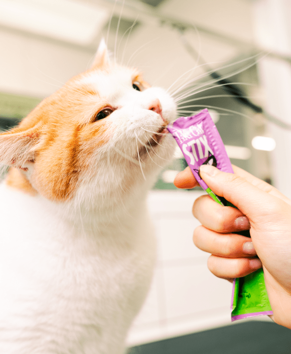 Cat Treats