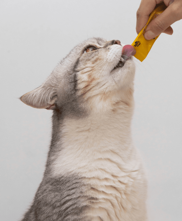Crunchy Cat Treats