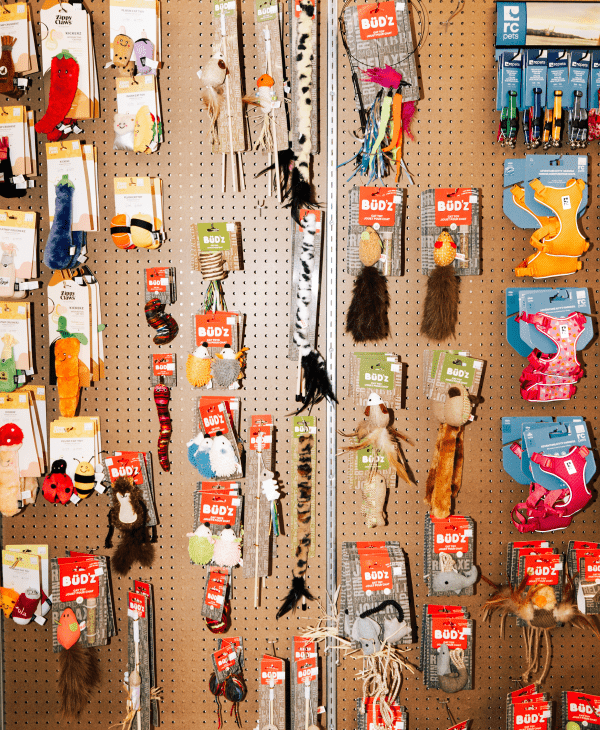 Interactive Toys for Dogs