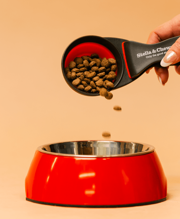 Kibble (Dry) for Dogs