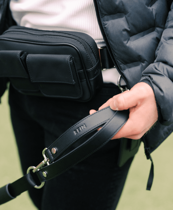 Dog Leashes, Collars & Harnesses