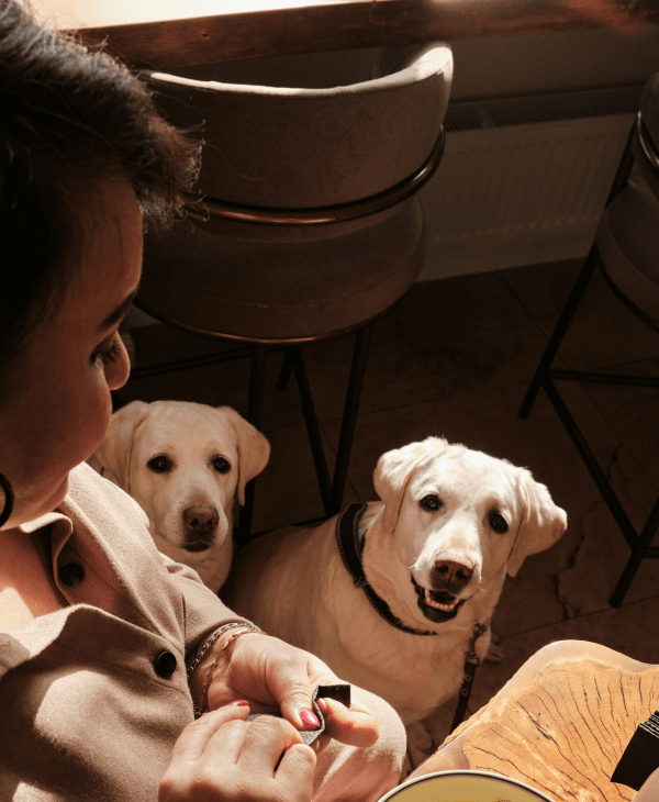 Monthly Promotions for Dogs