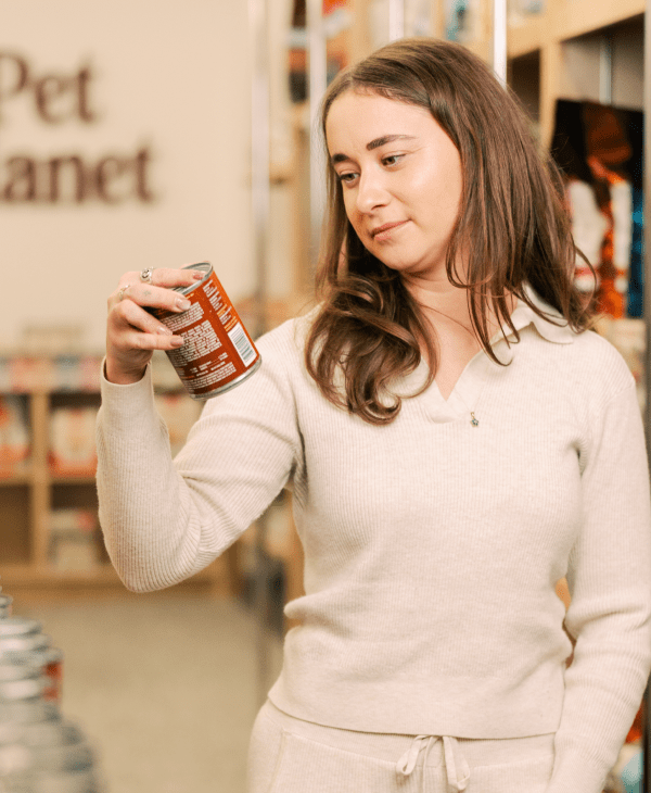 Seasonal Picks for Dogs