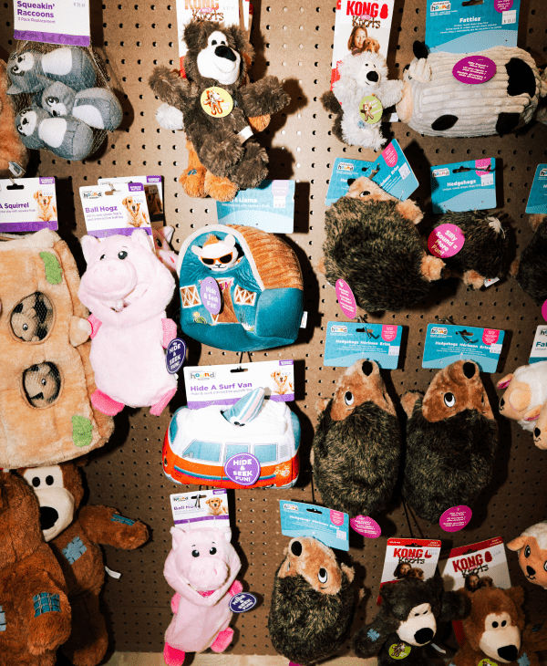 Subscription Products