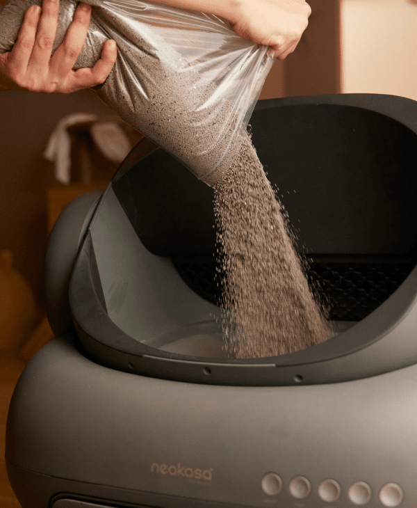 Cat Litter & Accessories