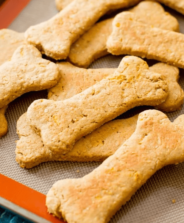 Seasonal Picks for Dogs