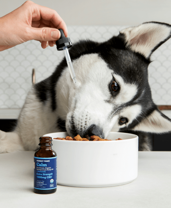Dog Supplements