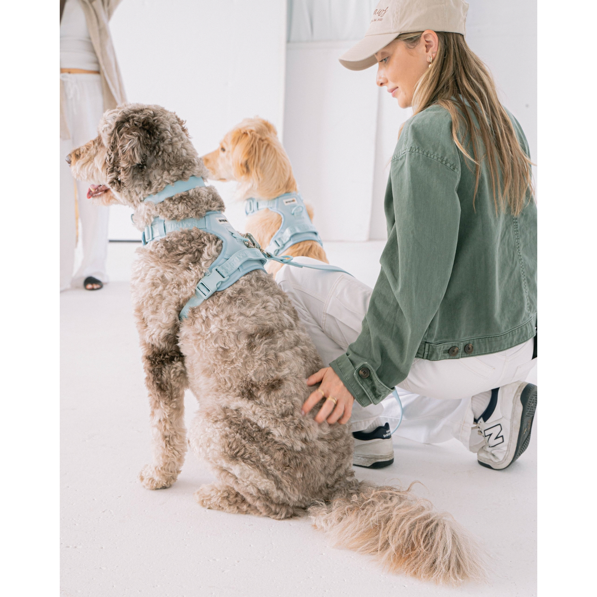 Dexypaws Sky Blue no-pull dog harness and hands-free waterproof leash set