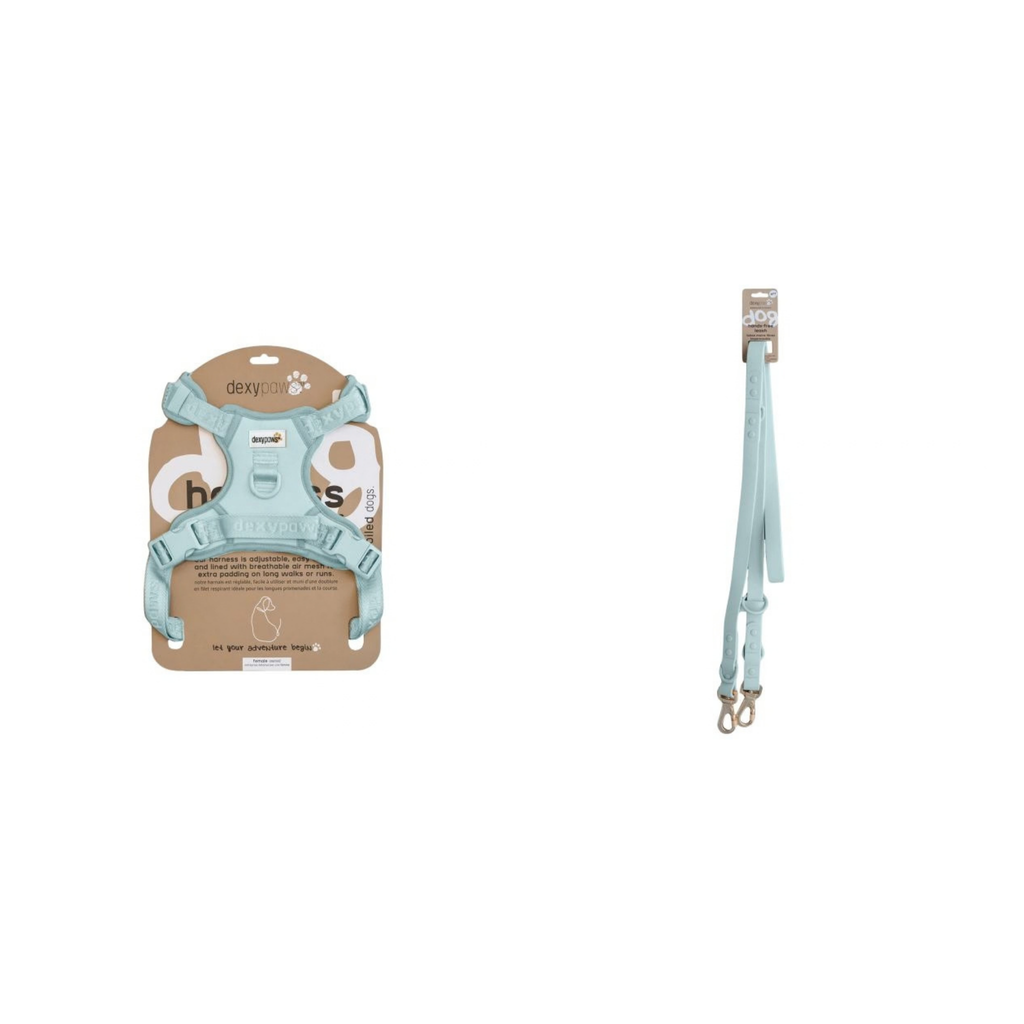 Dexypaws Sky Blue walk set: no-pull dog harness and hands-free waterproof leash