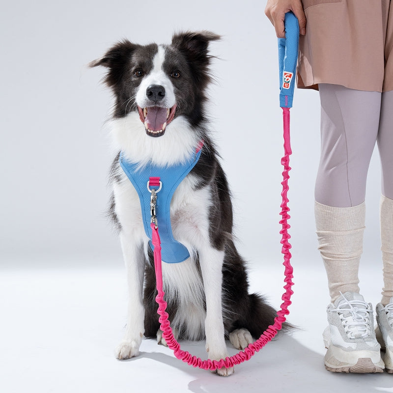Fuzzyard GO Mentum Dog Bungee Lead