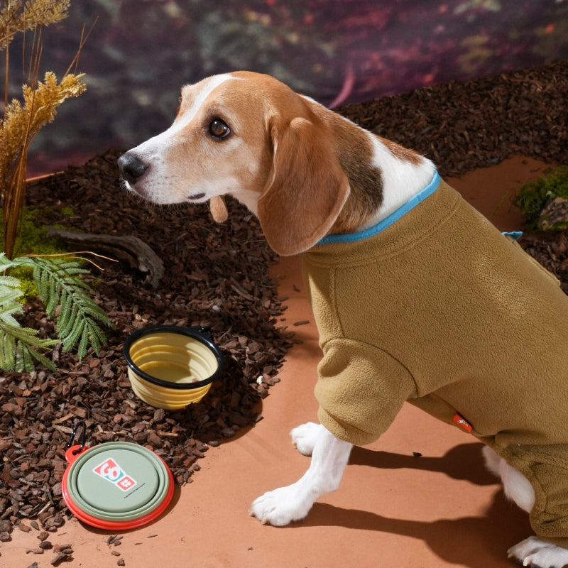 Puppy Gallery GO Dog Portable Bowl