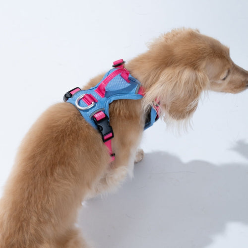 Fuzzyard GO Mentum Dog Harness- Blue