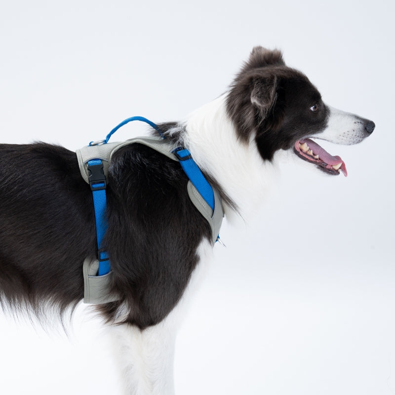 Fuzzyard GO Mentum Dog Harness- Grey