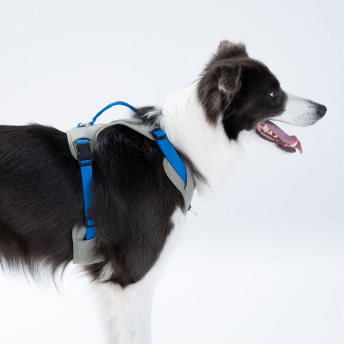 Fuzzyard GO Mentum Dog Harness- Grey