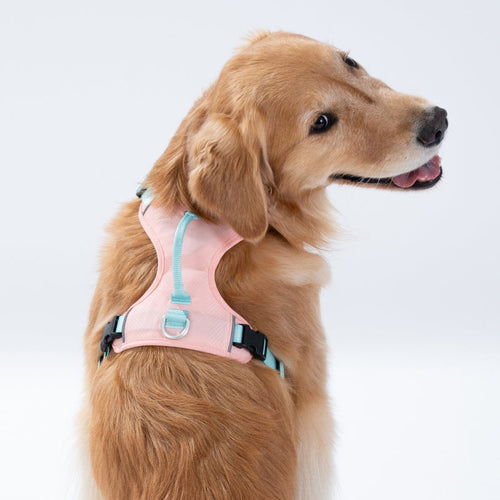 Fuzzyard GO Mentum Dog Harness- Pink