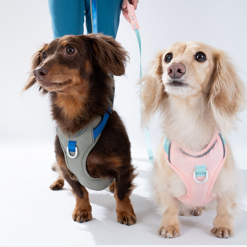 Fuzzyard GO Mentum Dog Harness- Grey