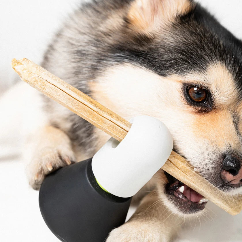Barkus Kosmo 3 Toy