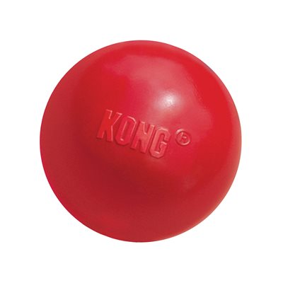 KONG - Dog Ball with Hole | Pet Planet Toronto