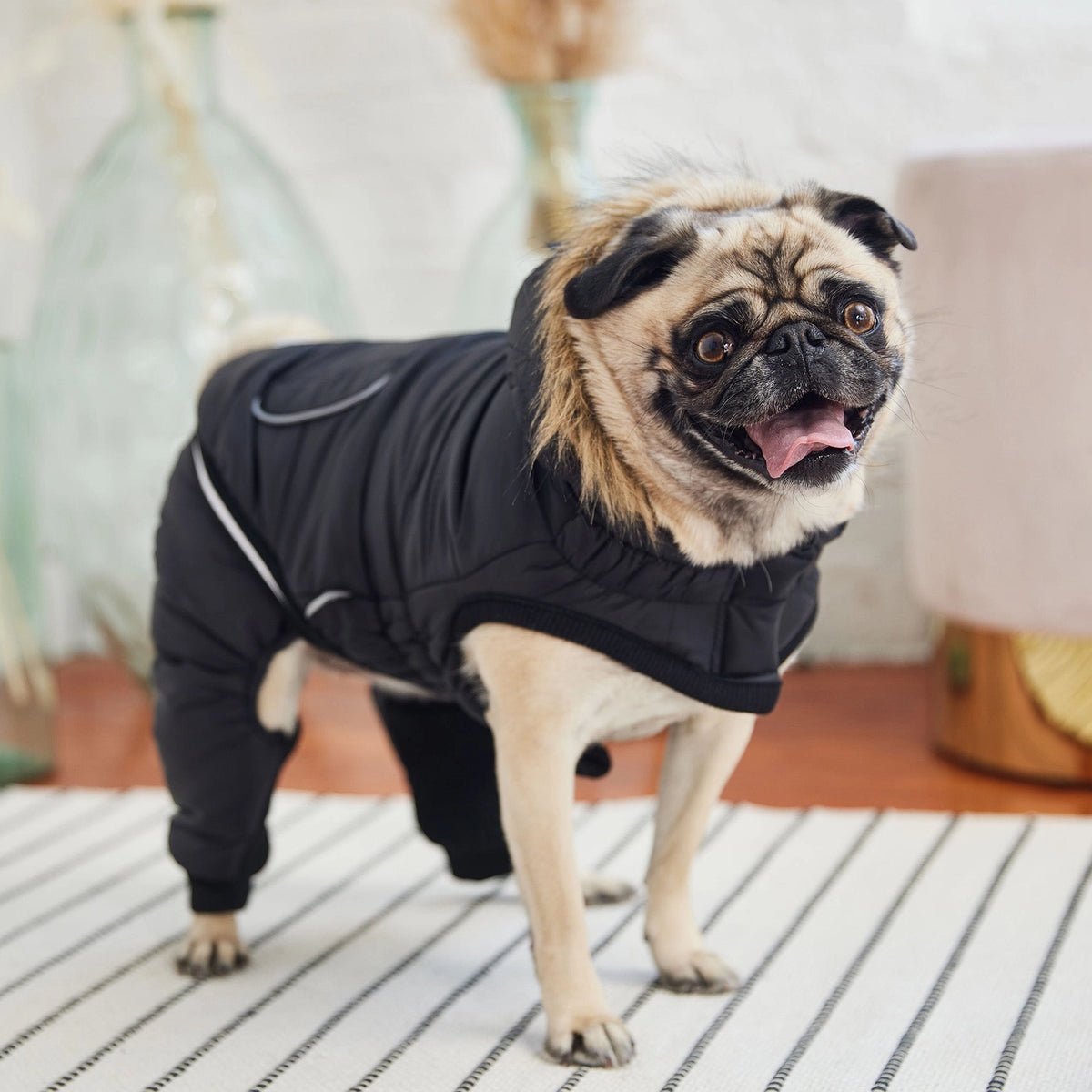 GF Pet Creekside Snowsuit - Black