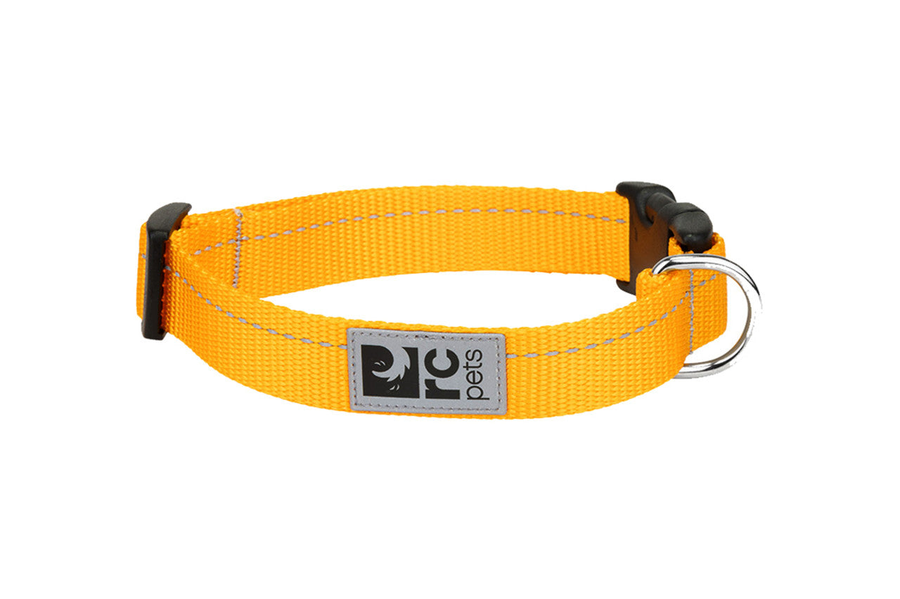 RC Pets - Clip Collar Primary Marigold
