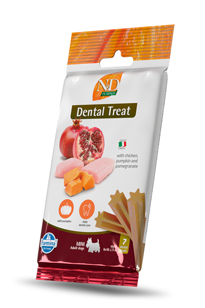 files/1084_13_nd-pumpkin-dental-treat-chicken-mini.png