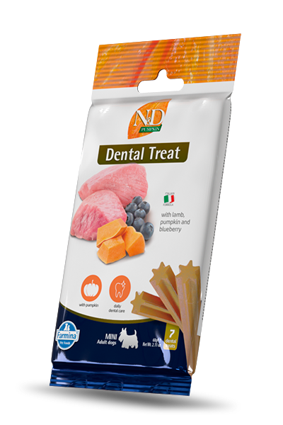 files/1085_26_nd-pumpkin-dental-treat-lamb-mini.png