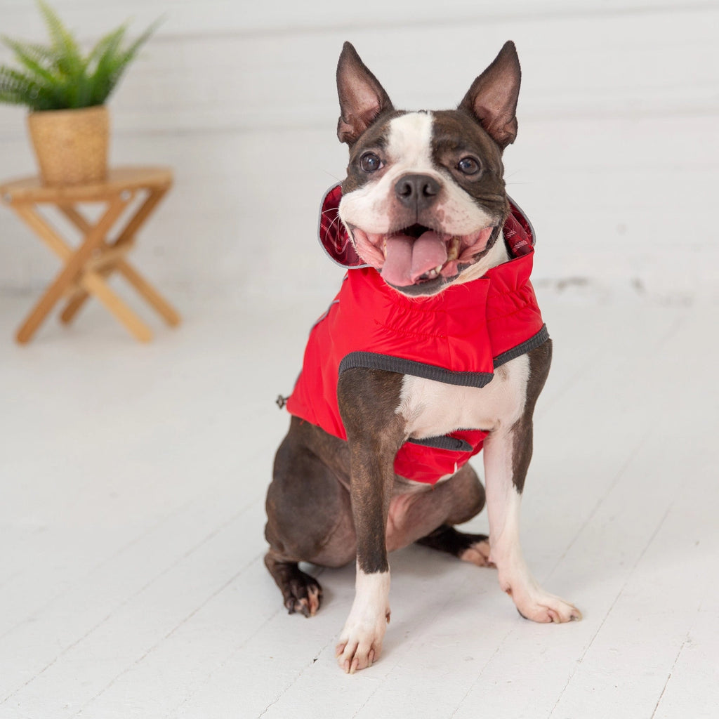 Reversible Elasto-Fit Raincoat - Small