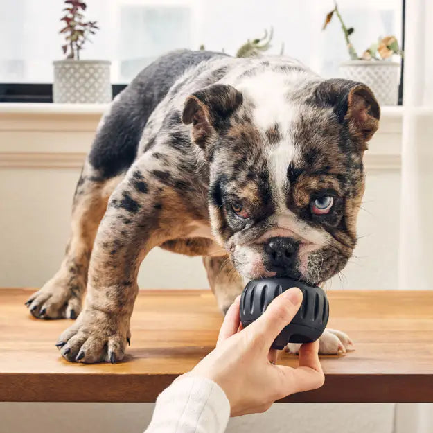 Woof Pupsicle Power Chewer
