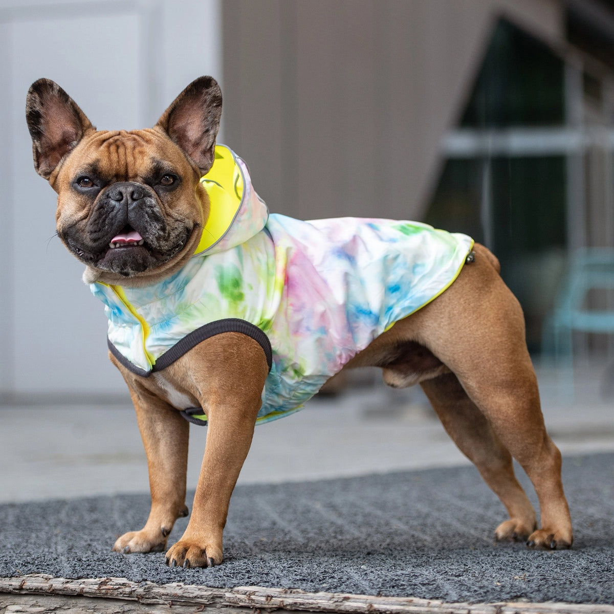 Reversible Elasto-Fit Raincoat - Large