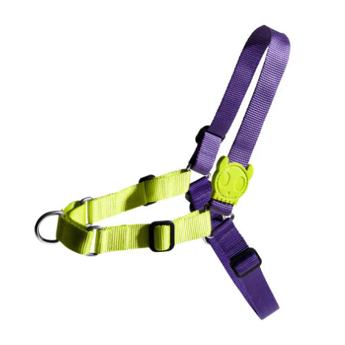 Zee.Dog Soft-Walk Harness Lemonade