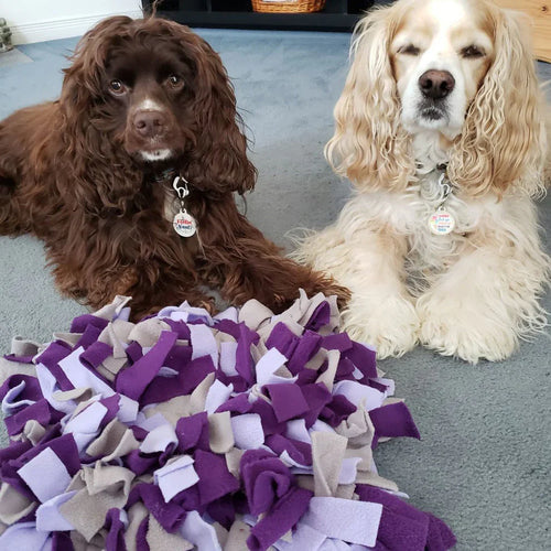 FouFouBrands Hide & Seek Snuffle Mat