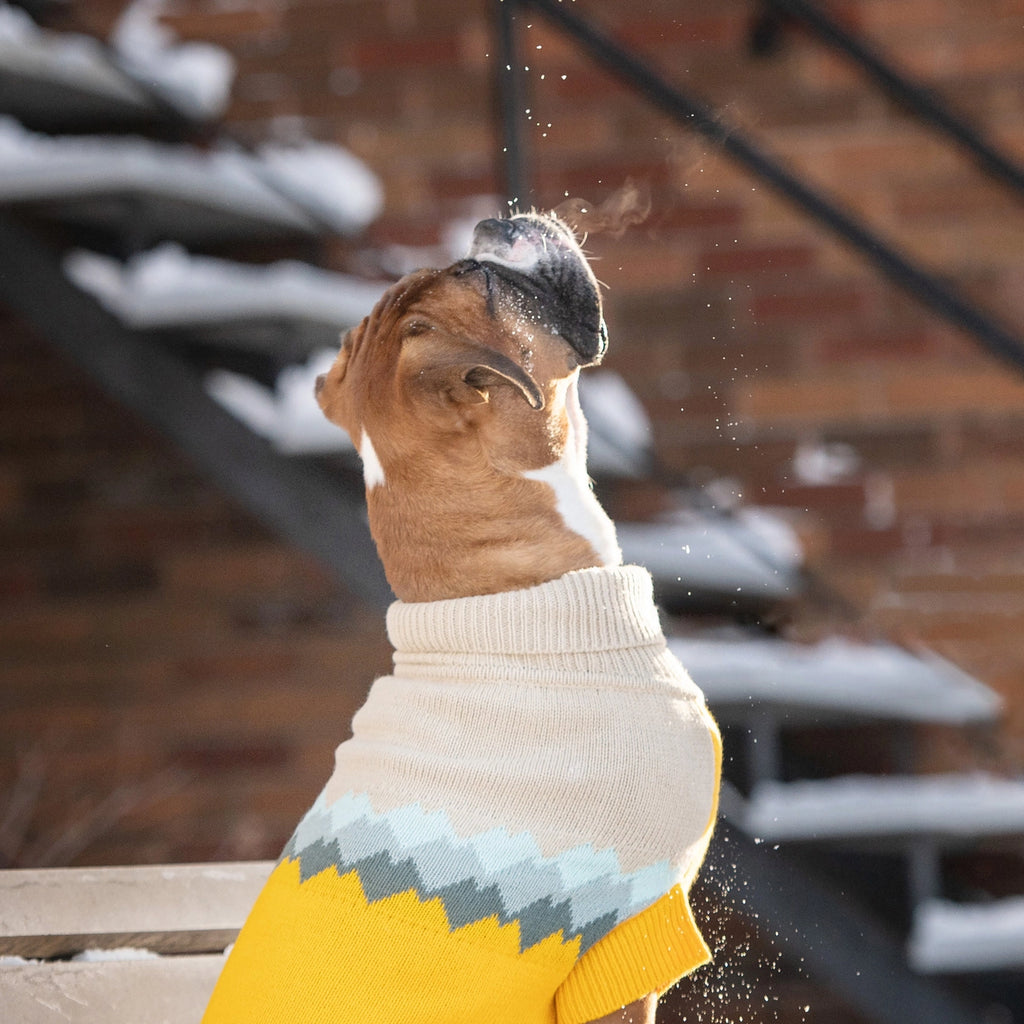 GF Pet Fireside Sweater - Yellow
