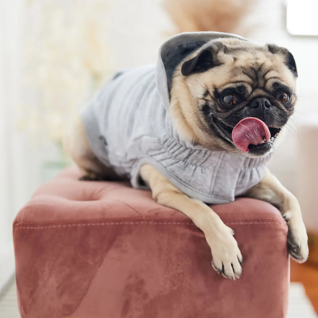 GF Pet Urban Hoodie - Heather Grey