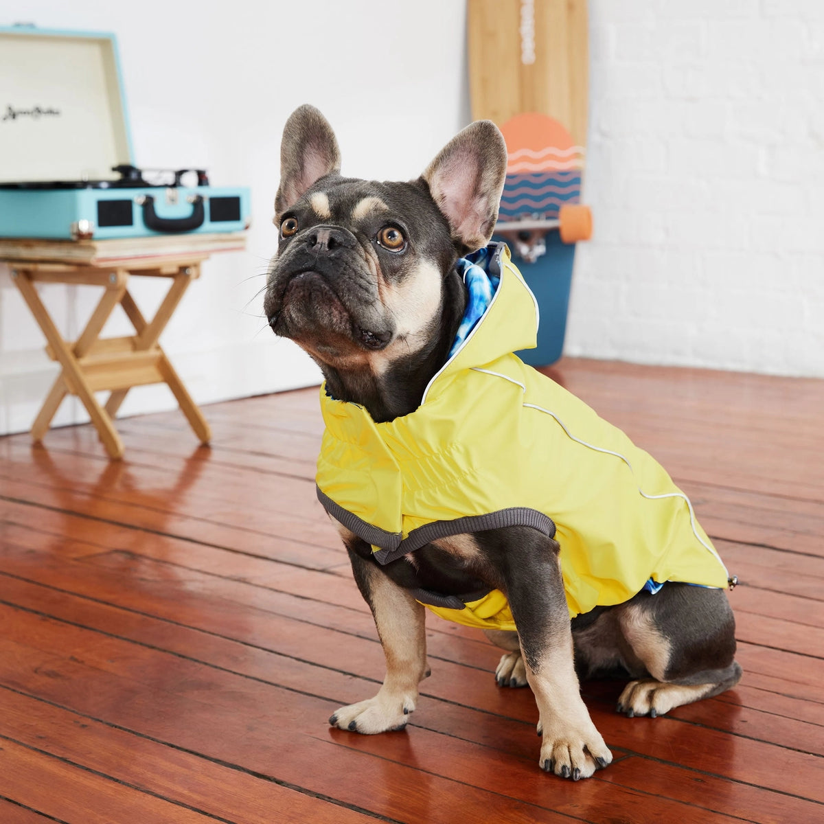 Reversible Elasto-Fit Raincoat - Medium