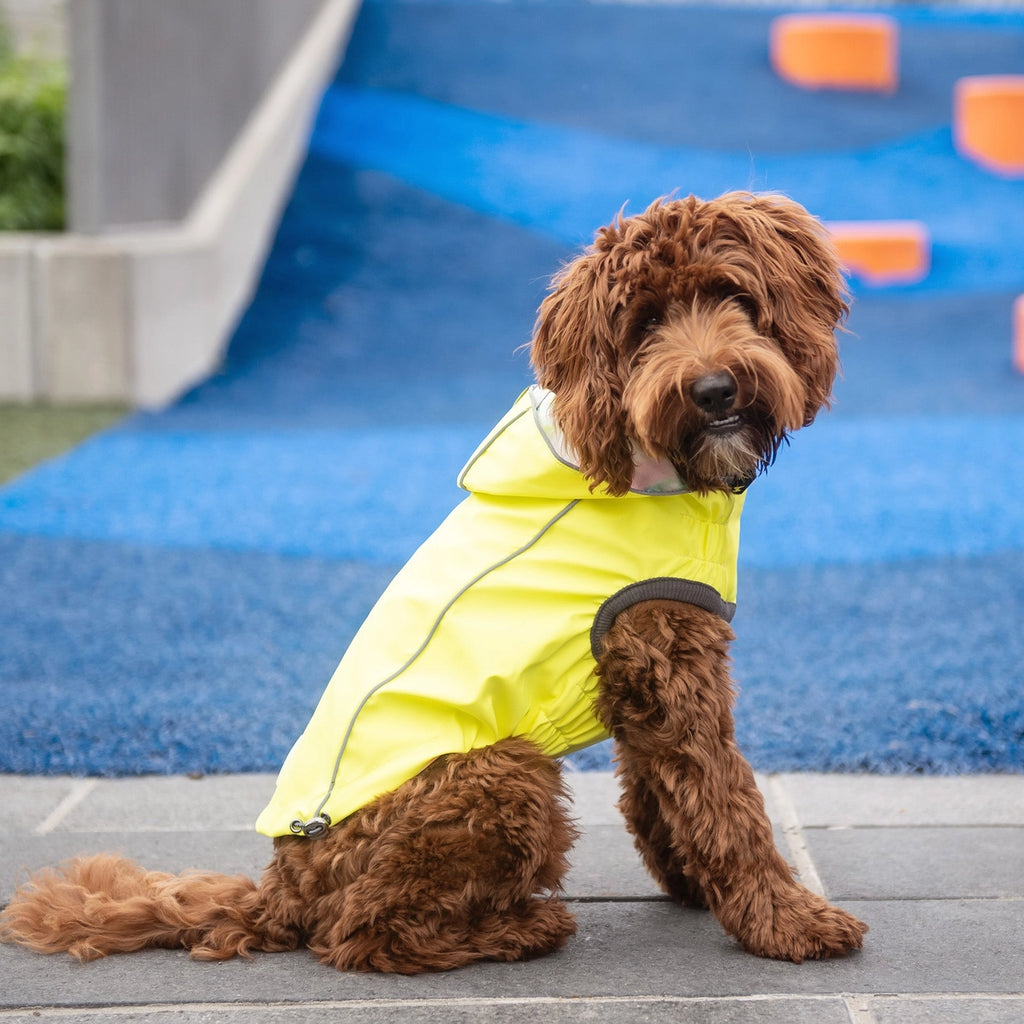 Reversible Elasto-Fit Raincoat - Large