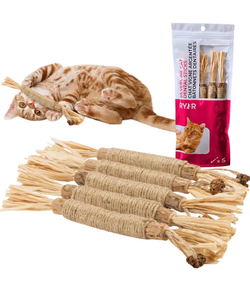 RYERCAT Silvervine Cat Dental Stick