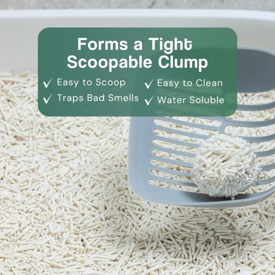 Dofu Cat Tofu Spa Litter, Sweet Apple