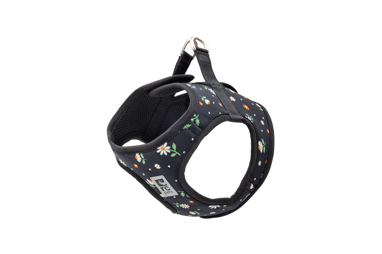 RC Pet - Step In Cirque Harness Daisies
