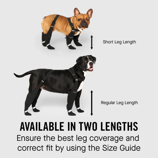 Canada Pooch Suspender Dog Boots