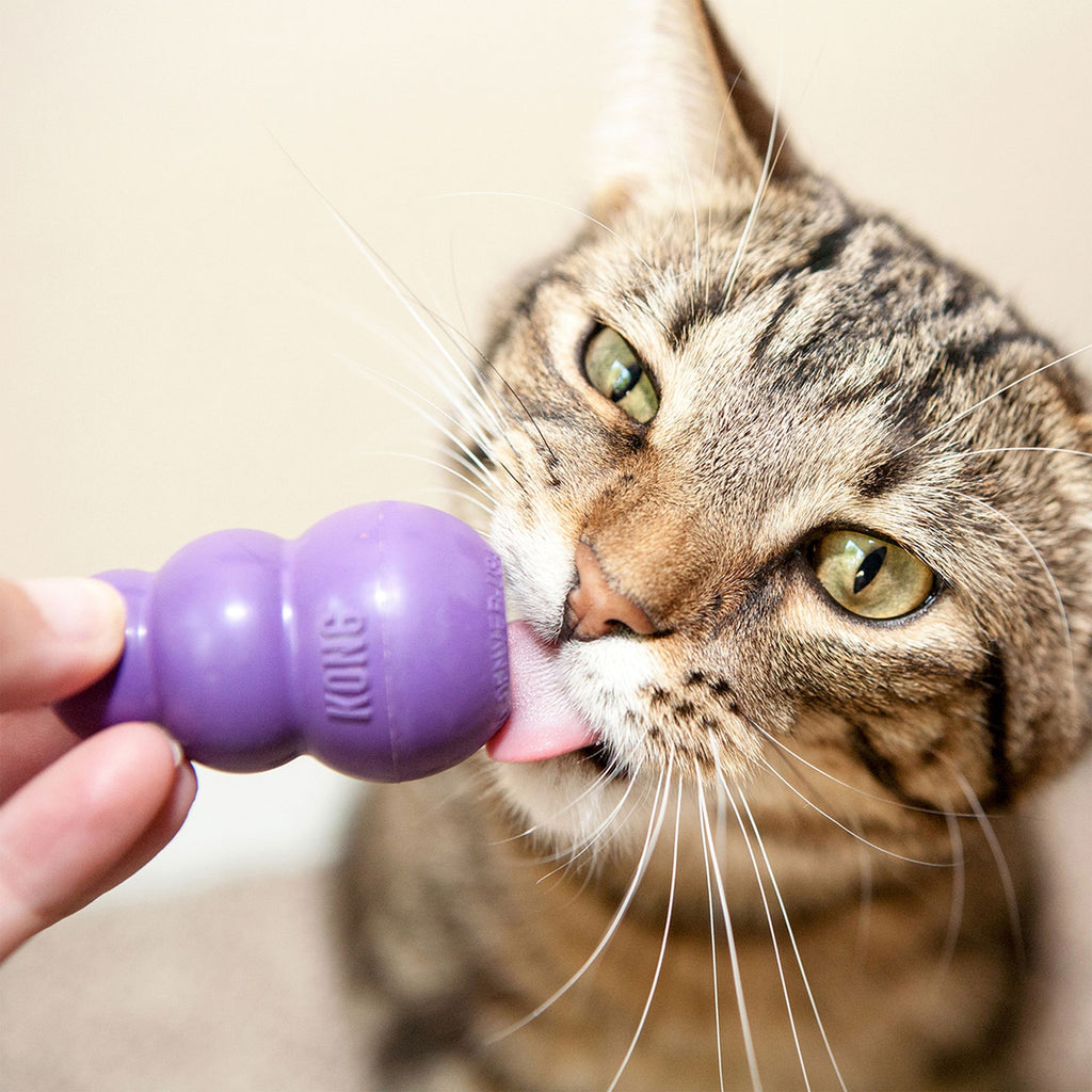 KONG Kitty KONG Cat Toy - Treat Dispensing