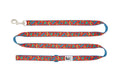 RC Pets - Leash Primary Jurassic Pack