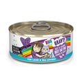 BFF OMG Gravy Beef & Salmon Best Day Eva 5.5oz Cat Can