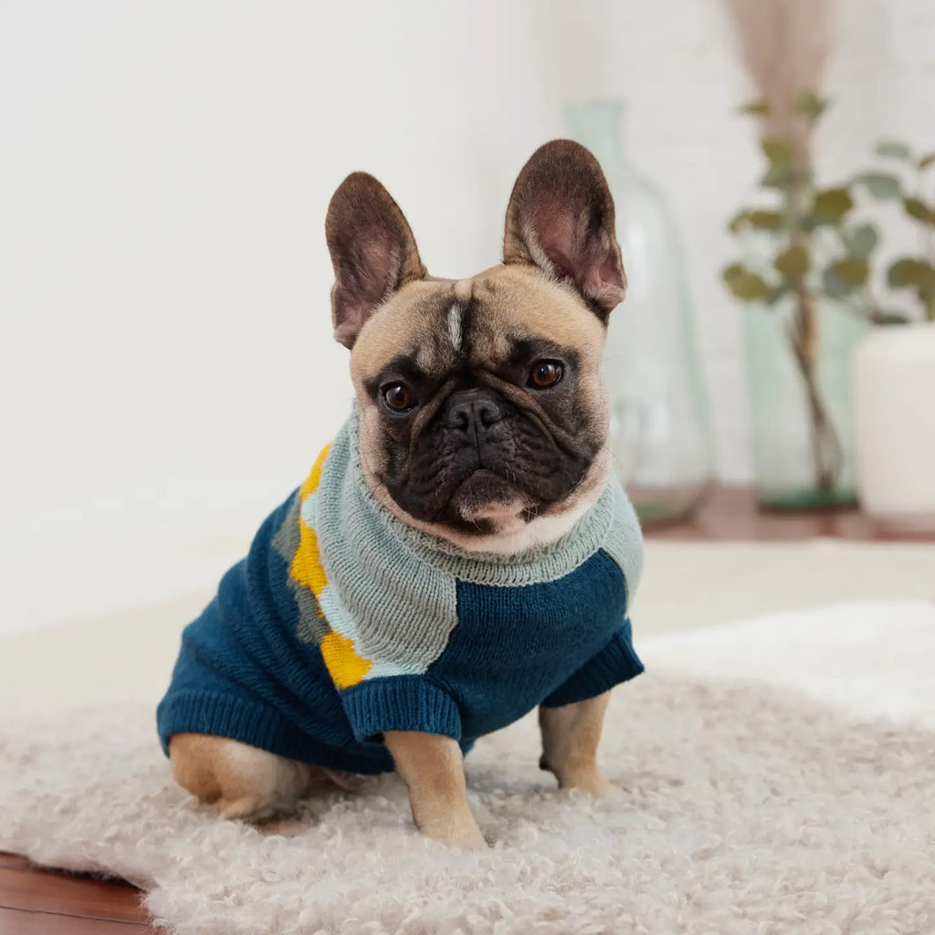 GF Pet Fireside Sweater - Teal