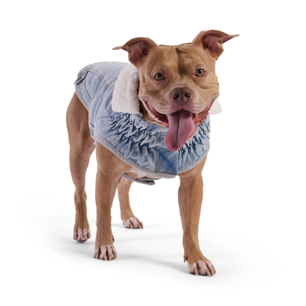 GF Pet Northside Denim Jacket - Light Wash