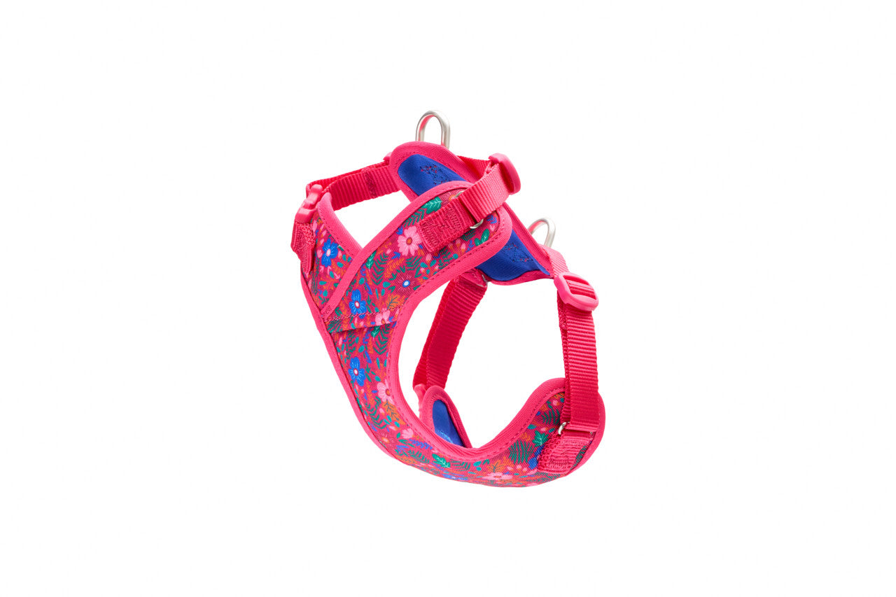 RC Pet -  Petite Explorer Harness PS Frida