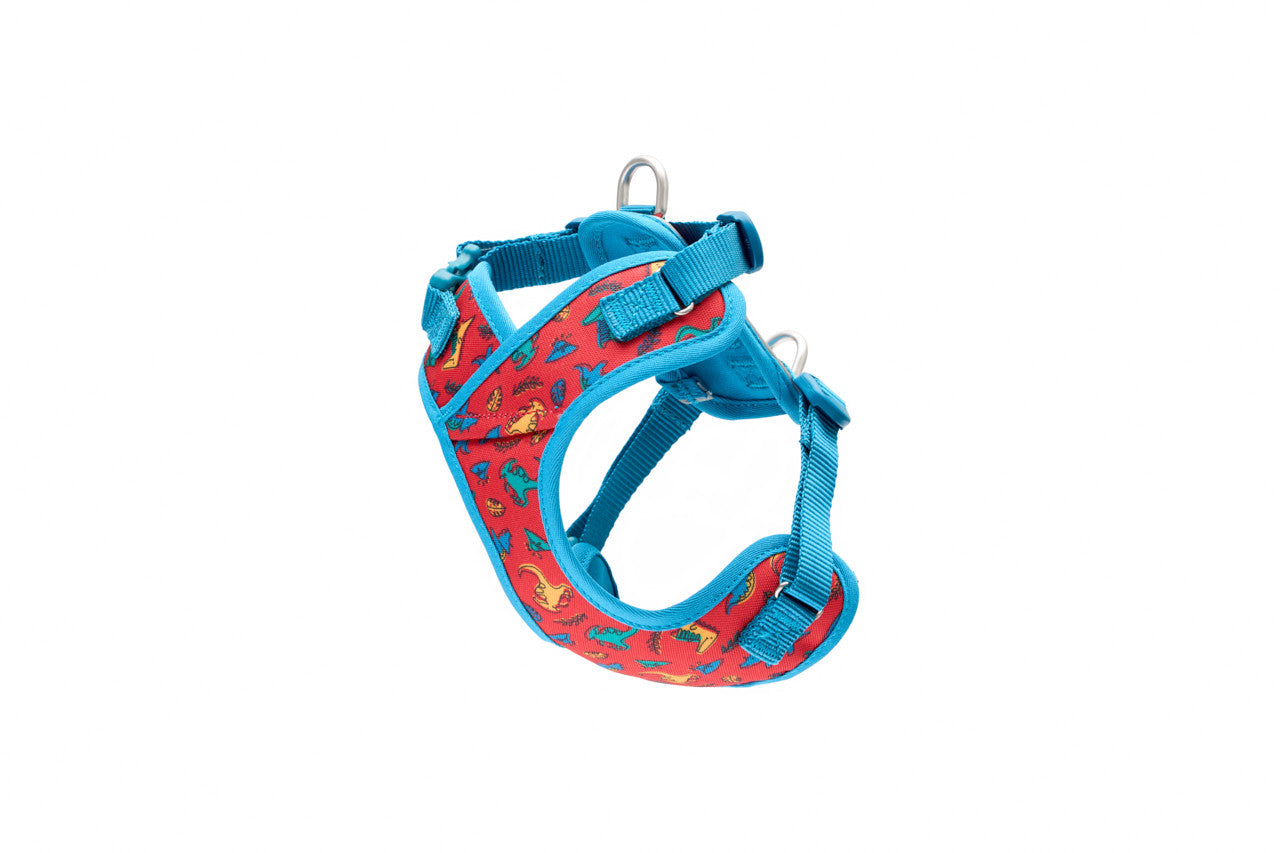 RC Pet -  Petite Explorer Harness Jurassic Pack